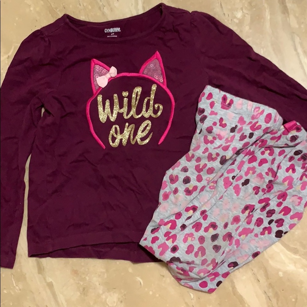 Gymboree Girls Size 5T Mix &Match Set